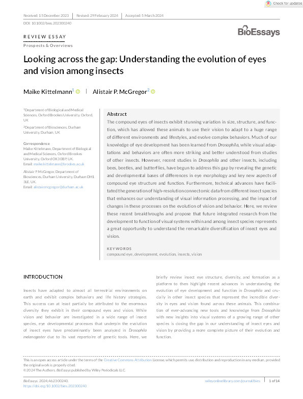 Looking across the gap: Understanding the evolution of eyes and vision among insects Thumbnail