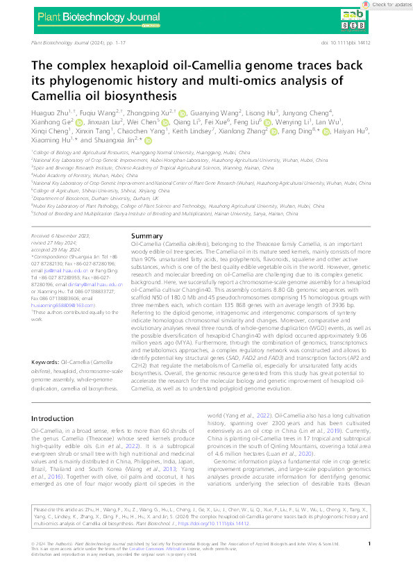 The complex hexaploid oil‐Camellia genome traces back its phylogenomic history and multi‐omics analysis of Camellia oil biosynthesis Thumbnail