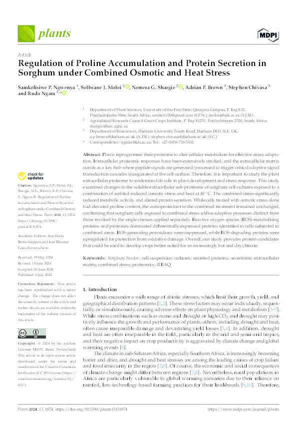 Regulation of Proline Accumulation and Protein Secretion in Sorghum under Combined Osmotic and Heat Stress. Thumbnail