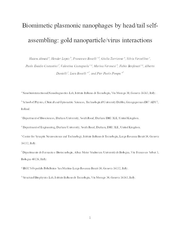 Biomimetic Plasmonic Nanophages by Head/Tail Self-Assembling: Gold Nanoparticle/Virus Interactions. Thumbnail