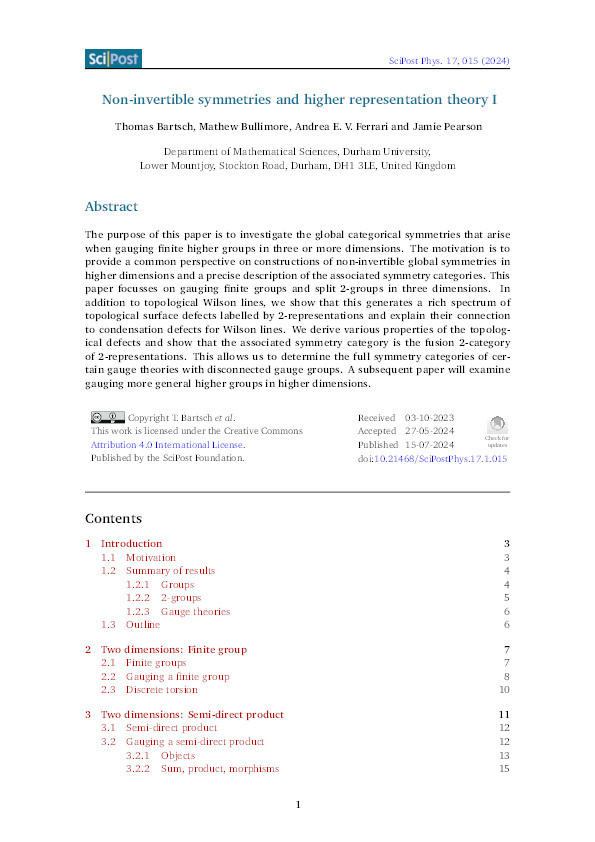 Non-invertible symmetries and higher representation theory I Thumbnail