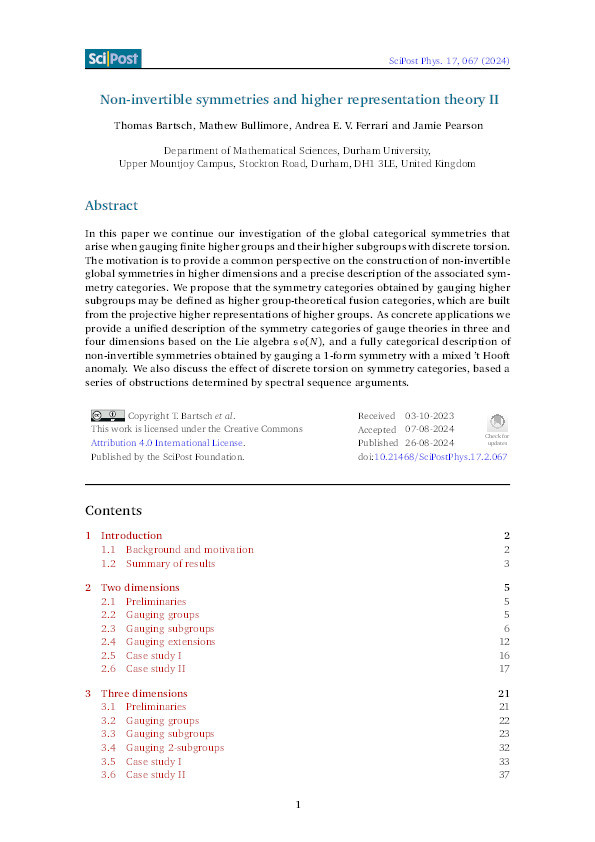 Non-invertible symmetries and higher representation theory II Thumbnail