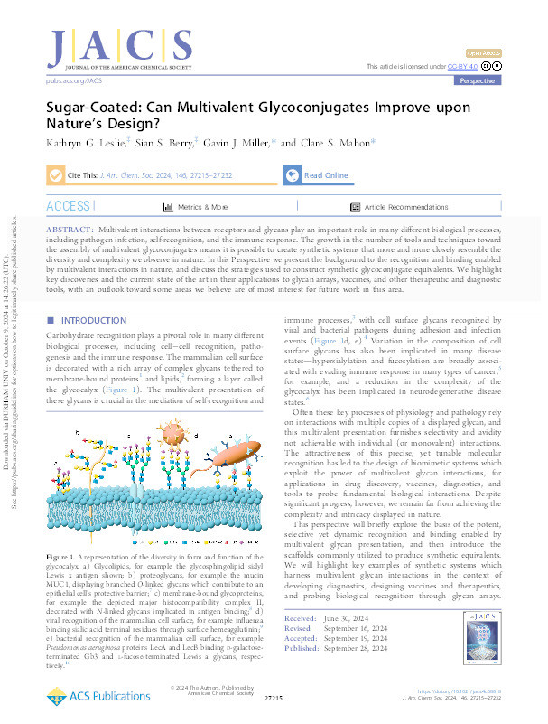 Sugar-Coated: Can Multivalent Glycoconjugates Improve upon Nature’s Design? Thumbnail