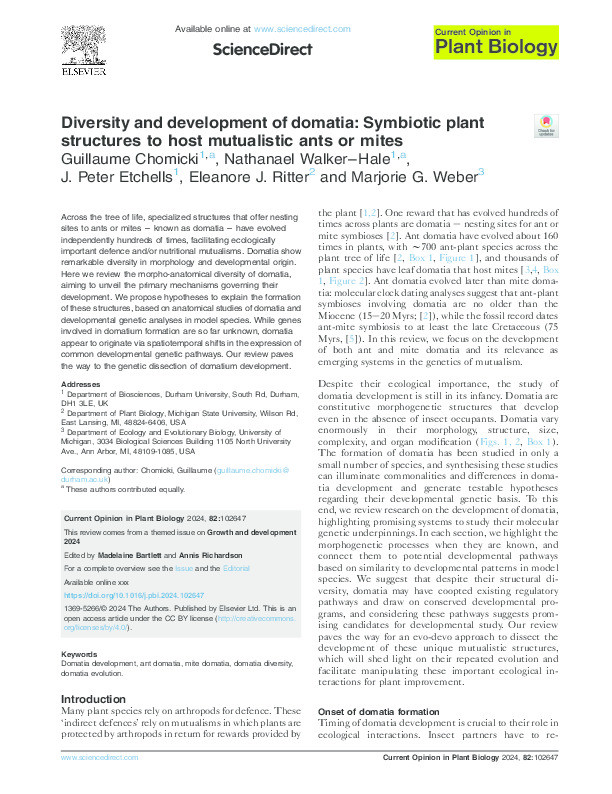 Diversity and development of domatia: Symbiotic plant structures to host mutualistic ants or mites Thumbnail