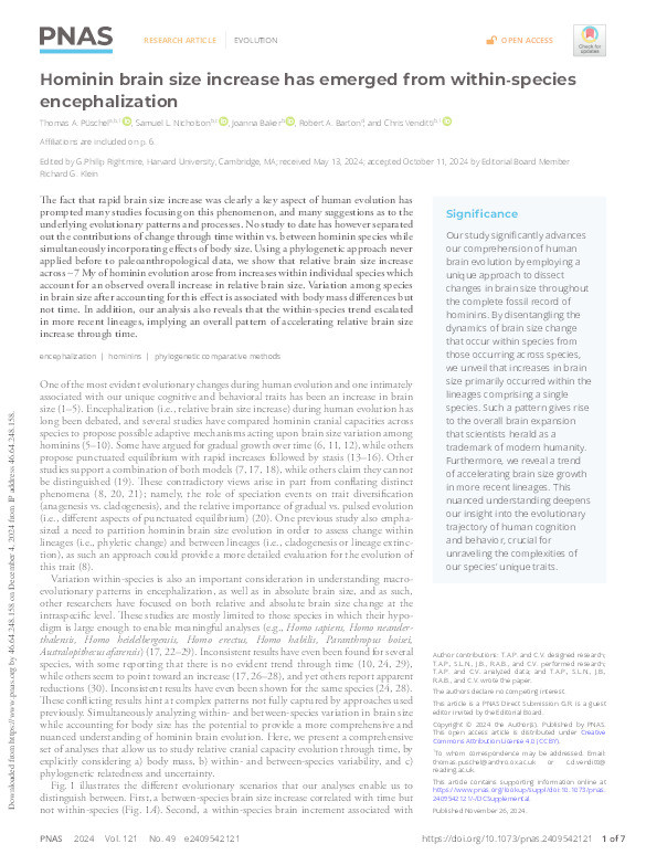 Hominin brain size increase has emerged from within-species encephalization Thumbnail