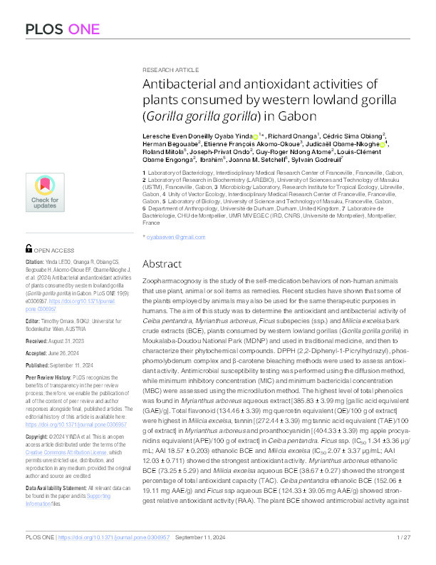 Antibacterial and antioxidant activities of plants consumed by western lowland gorilla (Gorilla gorilla gorilla) in Gabon Thumbnail