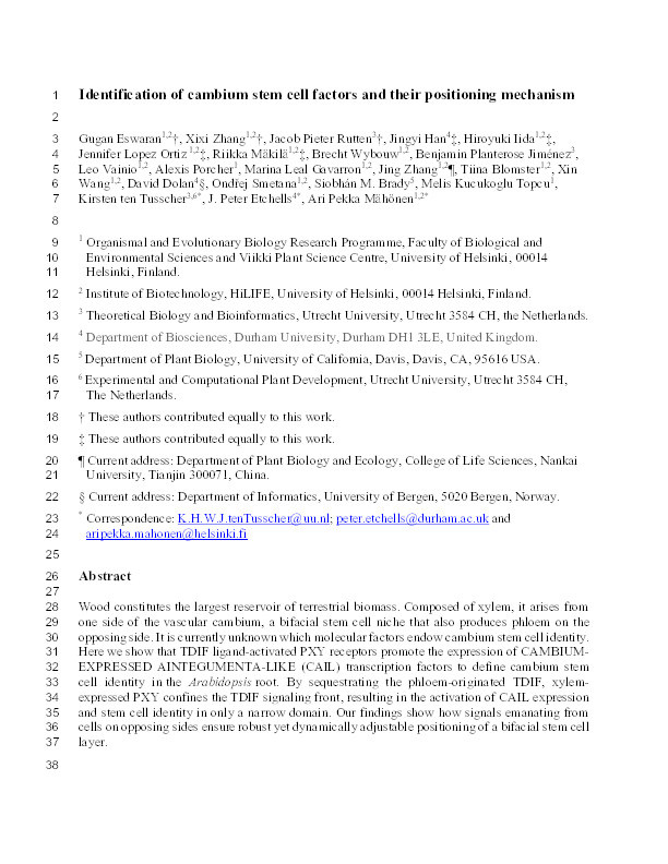 Identification of cambium stem cell factors and their positioning mechanism Thumbnail