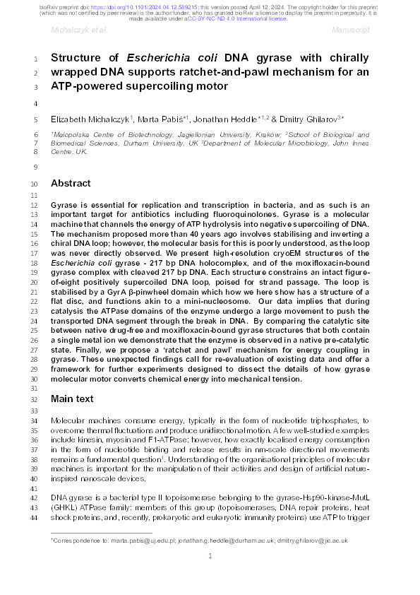 Structure ofEscherichia coliDNA gyrase with chirally wrapped DNA supports ratchet-and-pawl mechanism for an ATP-powered supercoiling motor Thumbnail