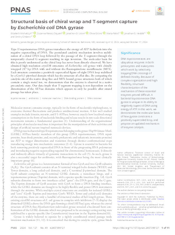 Structural basis of chiral wrap and T-segment capture by            Escherichia coli            DNA gyrase Thumbnail