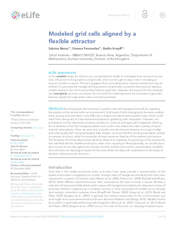 Modeled grid cells aligned by a flexible attractor Thumbnail