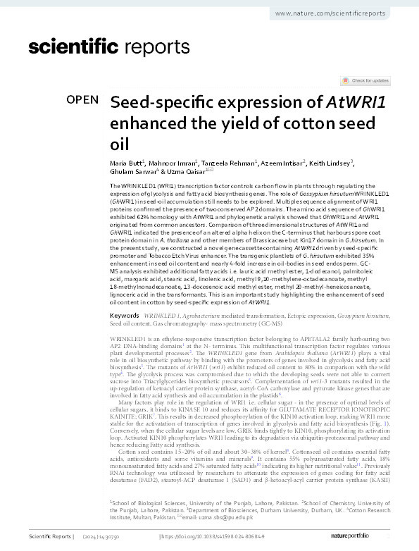 Seed-specific expression of AtWRI1 enhanced the yield of cotton seed oil Thumbnail