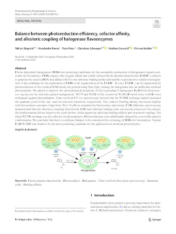 Balance between photoreduction efficiency, cofactor affinity, and allosteric coupling of halogenase flavoenzymes Thumbnail