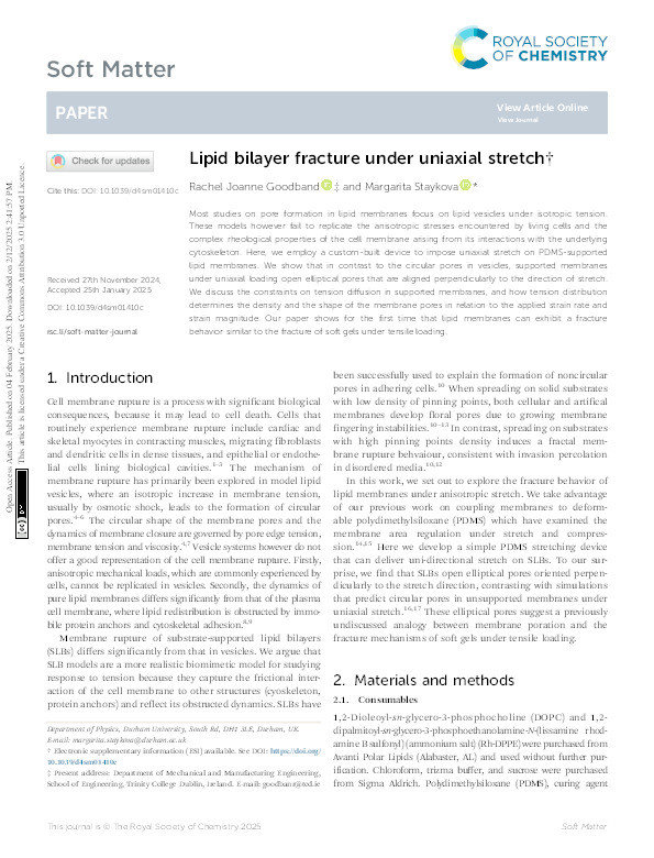 Lipid bilayer fracture under uniaxial stretch † Thumbnail