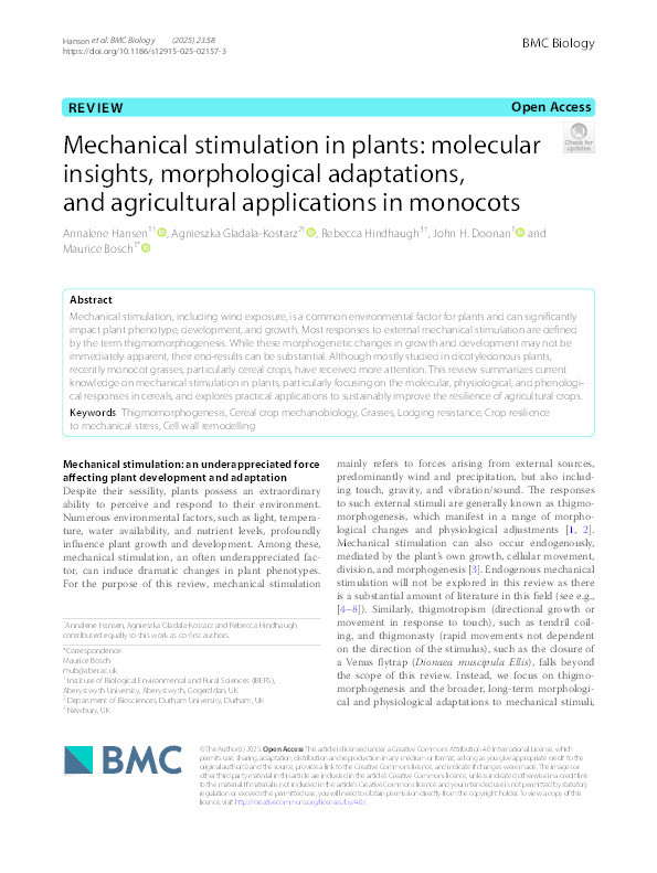 Mechanical stimulation in plants: molecular insights, morphological adaptations, and agricultural applications in monocots Thumbnail