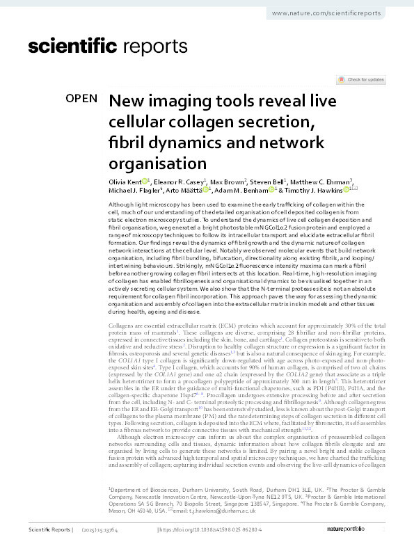 New imaging tools reveal live cellular collagen secretion, fibril dynamics and network organisation Thumbnail